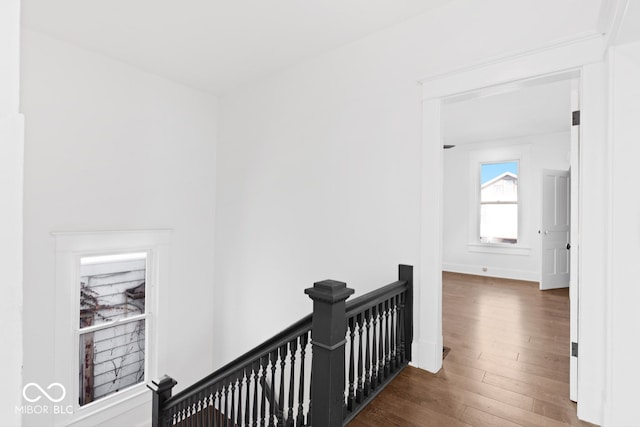 hall featuring dark hardwood / wood-style floors