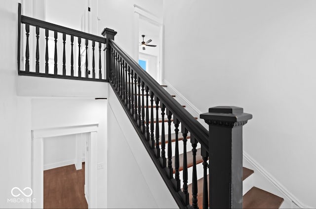 stairs with hardwood / wood-style flooring and ceiling fan