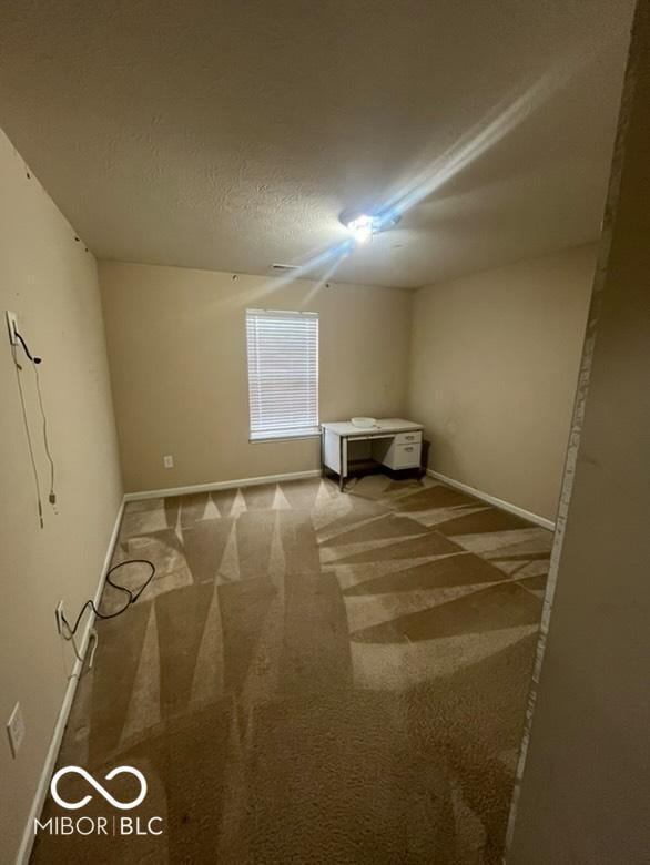 interior space featuring light colored carpet and a textured ceiling