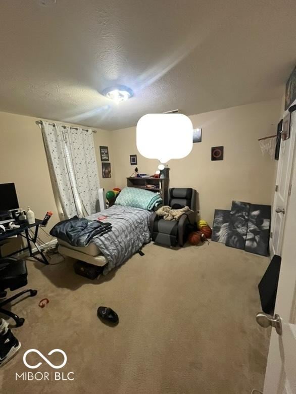 bedroom featuring carpet and a textured ceiling