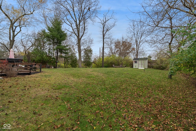 view of yard featuring a shed