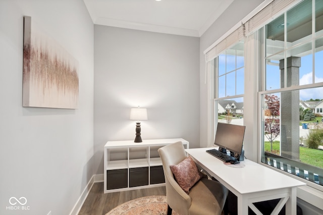 office space featuring crown molding and dark hardwood / wood-style flooring