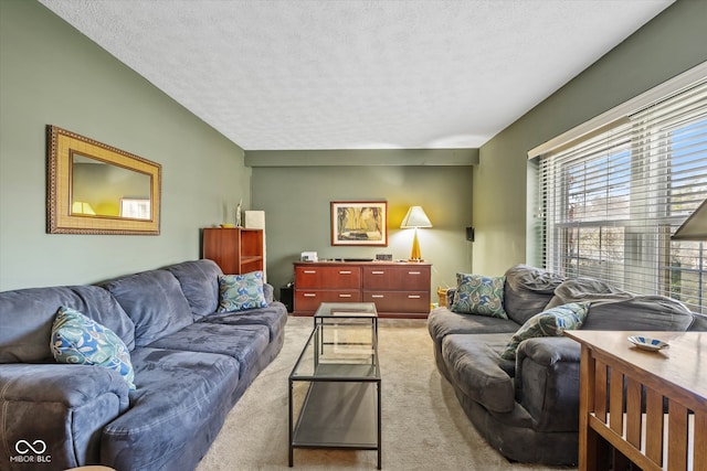 carpeted living room with a textured ceiling