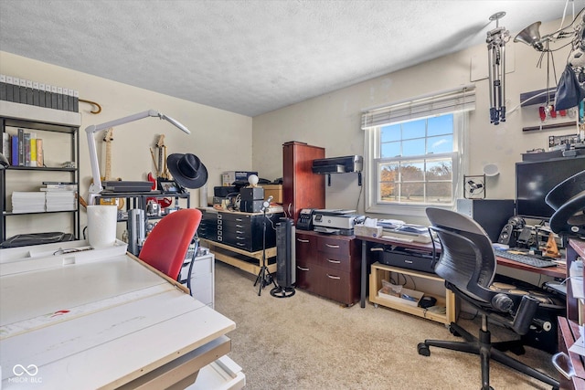 595 Hawthorne Dr, Carmel, IN 46033 - home office with light carpet and a textured ceiling
