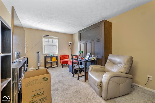 living area with a textured ceiling and light colored carpet