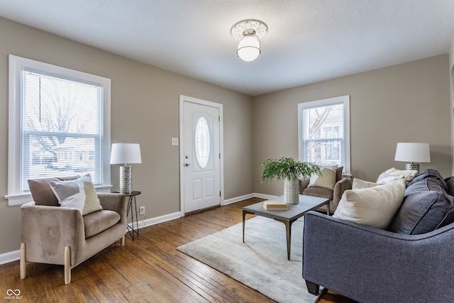 living room featuring dark hardwood / wood-style flooring