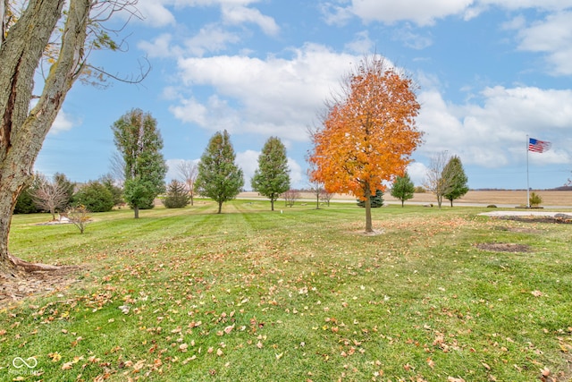 view of yard