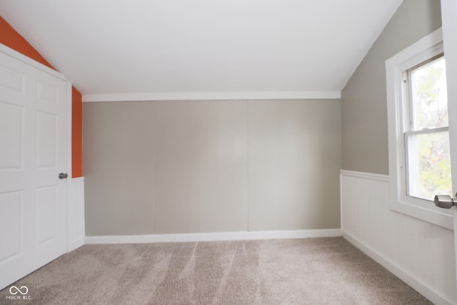 additional living space with lofted ceiling, a healthy amount of sunlight, and light carpet