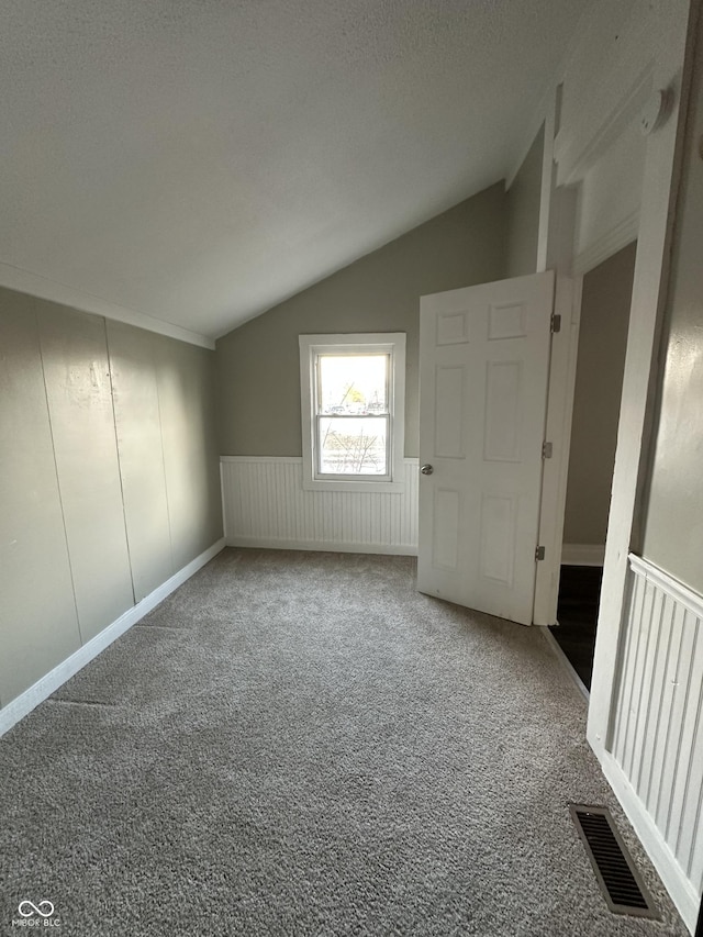 additional living space with lofted ceiling, carpet flooring, and a textured ceiling