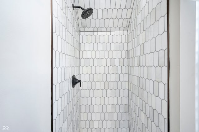 room details featuring tiled shower