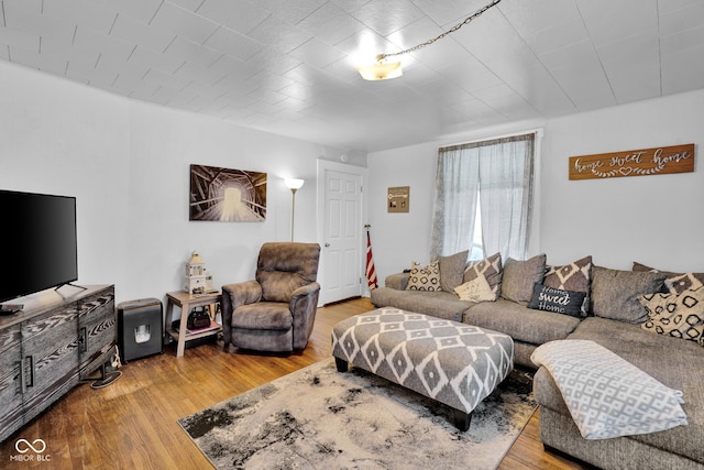 living room featuring hardwood / wood-style flooring