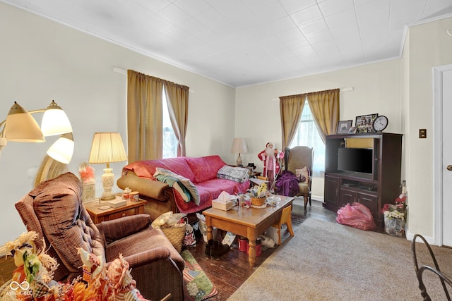 living room featuring dark hardwood / wood-style floors and crown molding