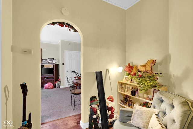 hall with crown molding and carpet floors