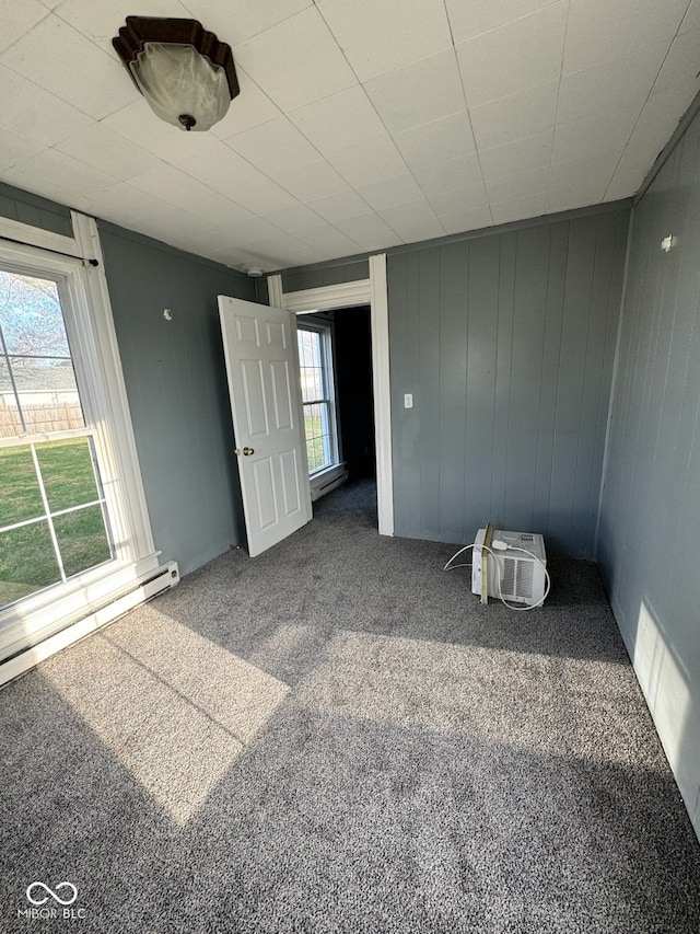 empty room featuring carpet flooring, a healthy amount of sunlight, and wooden walls