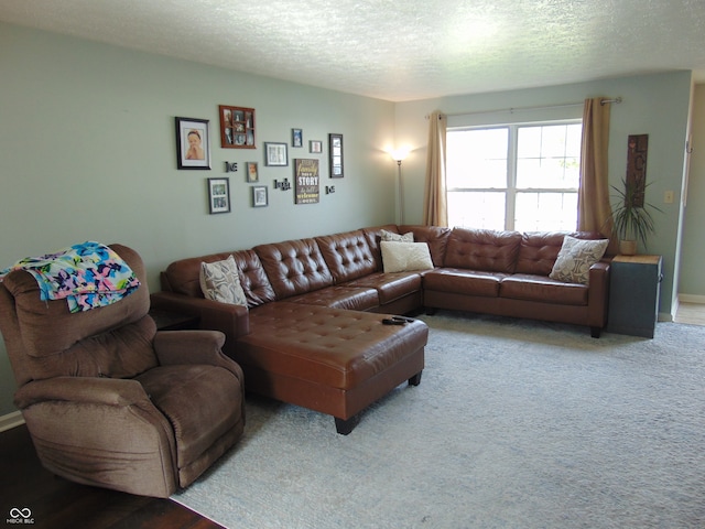 carpeted living room with a textured ceiling