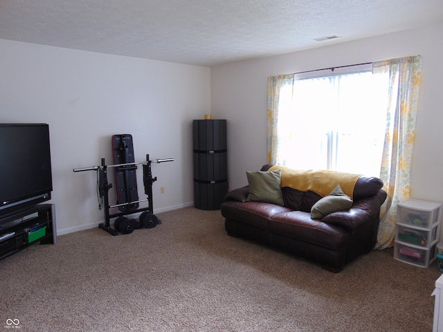 carpeted living room featuring a textured ceiling