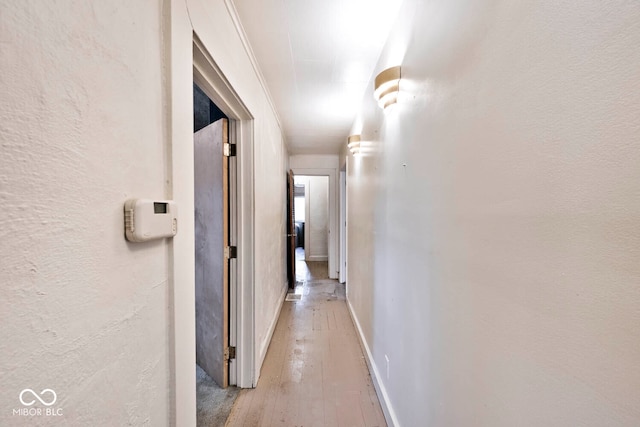 corridor with crown molding and light hardwood / wood-style flooring