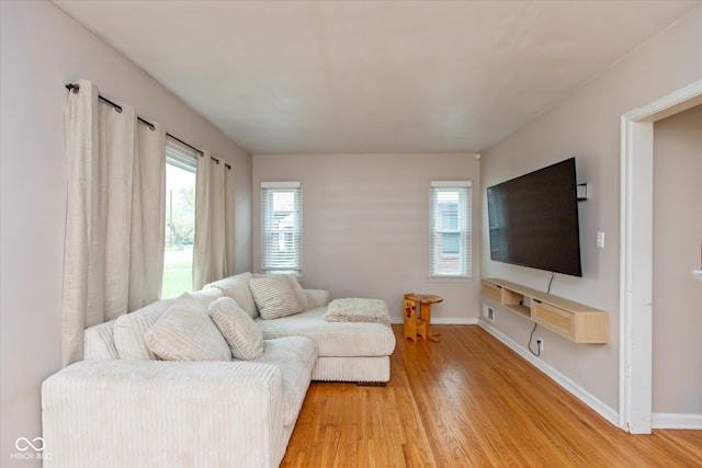 living room featuring wood-type flooring