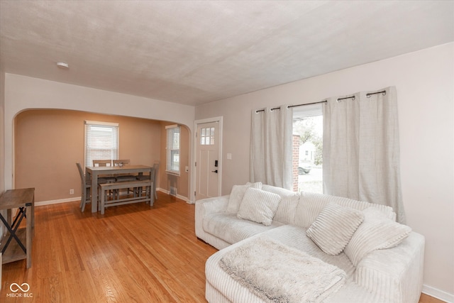 living room featuring hardwood / wood-style floors