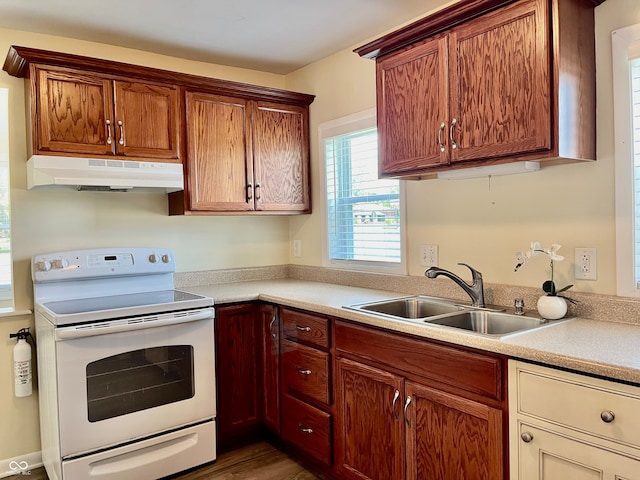 kitchen featuring dark wood-type flooring, sink, and white range with electric stovetop