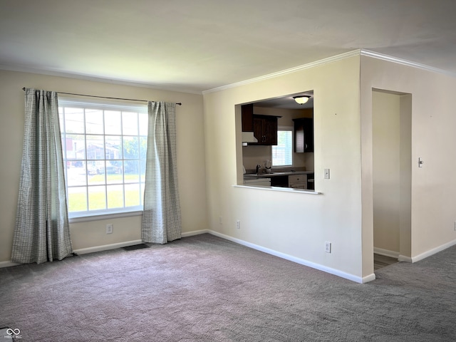 carpeted empty room with sink and ornamental molding