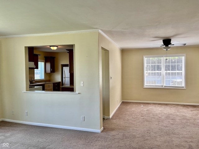 unfurnished room with carpet, ceiling fan, and crown molding