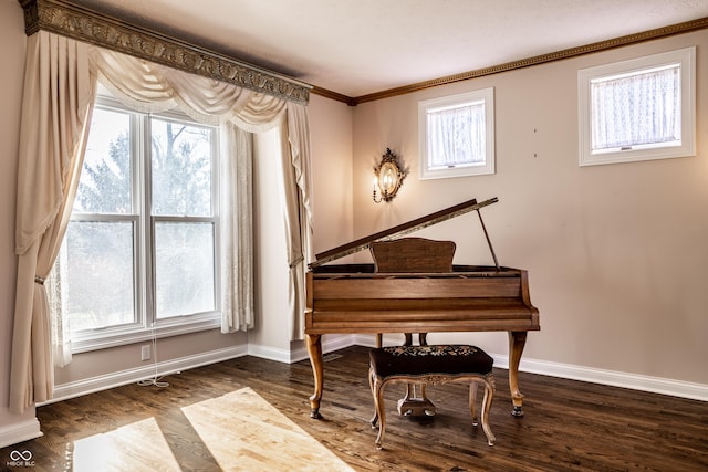 misc room with dark hardwood / wood-style flooring and ornamental molding