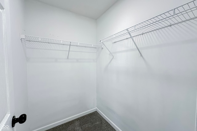 walk in closet with carpet flooring