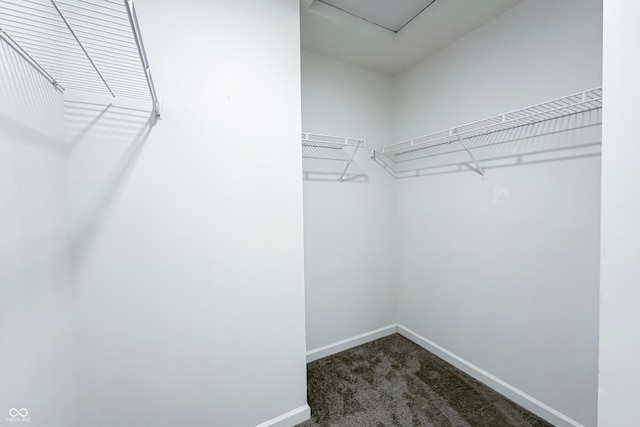 walk in closet with dark carpet