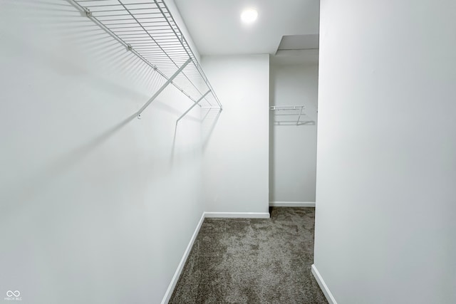 walk in closet with carpet floors