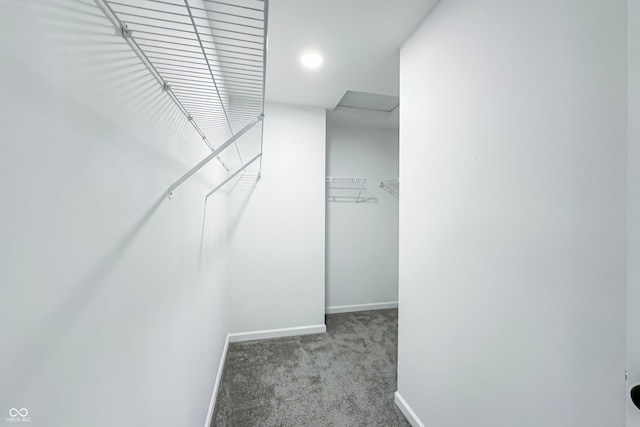 walk in closet featuring light carpet