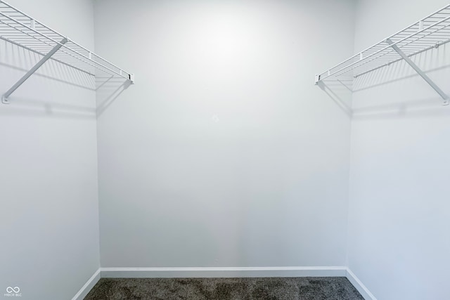 walk in closet featuring carpet flooring