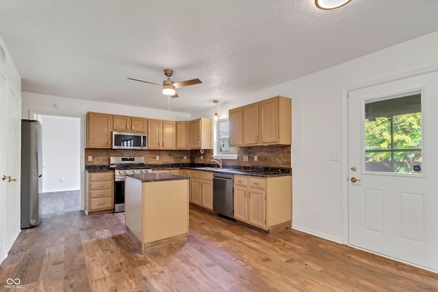 kitchen with plenty of natural light, light brown cabinetry, light hardwood / wood-style flooring, and stainless steel appliances