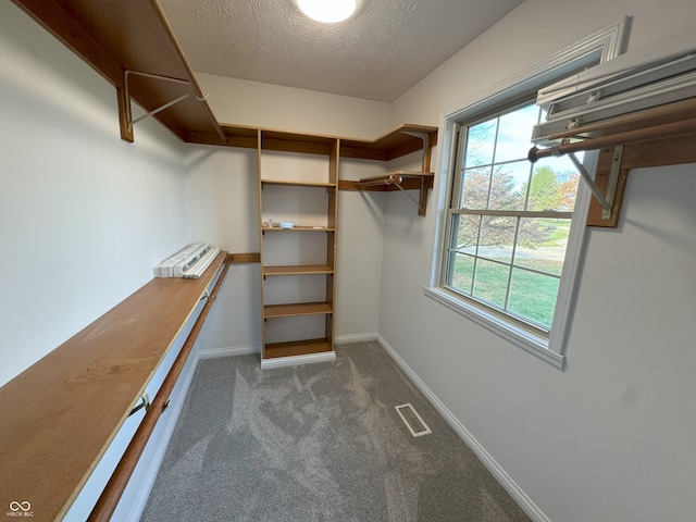 spacious closet with dark carpet