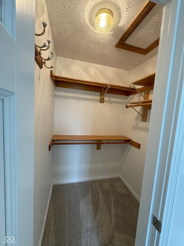 spacious closet featuring carpet flooring