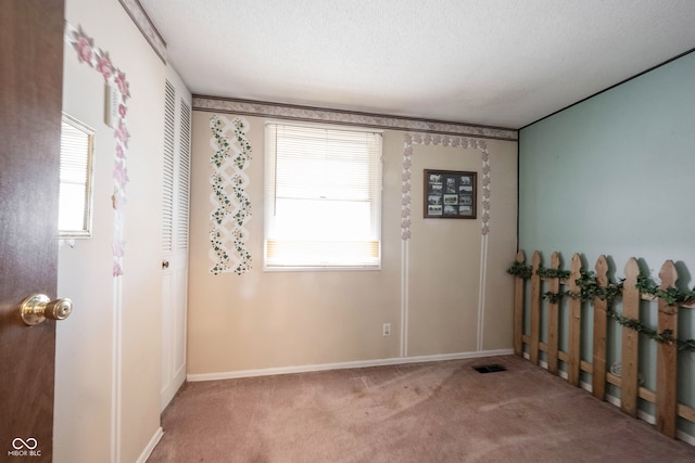 carpeted empty room with a wealth of natural light and a textured ceiling