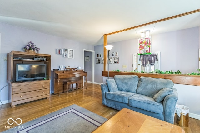 living room with hardwood / wood-style flooring