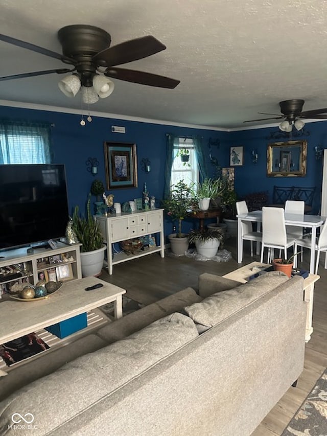 living room featuring hardwood / wood-style floors, ceiling fan, and crown molding