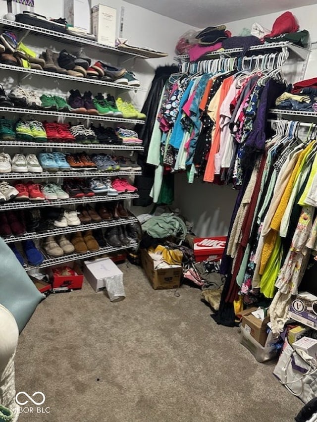 walk in closet with carpet