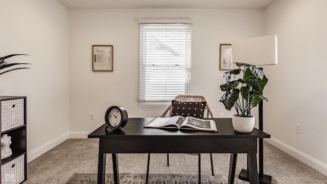 office space featuring carpet floors