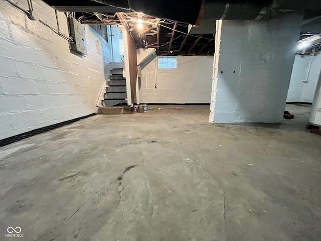 basement with electric panel