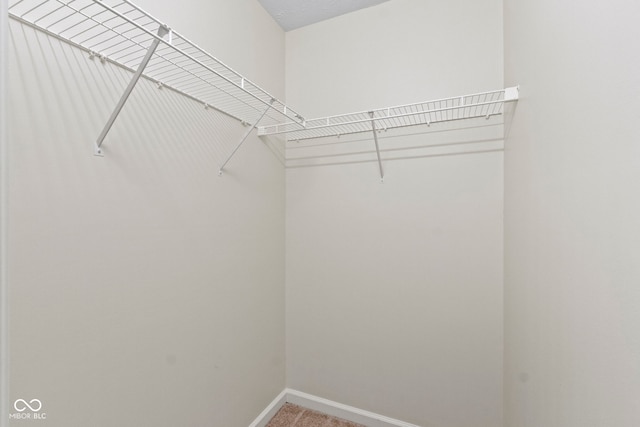 view of walk in closet