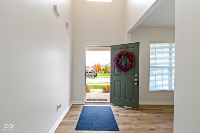 entrance foyer with light hardwood / wood-style floors and a wealth of natural light