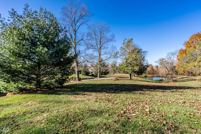 view of yard with a water view