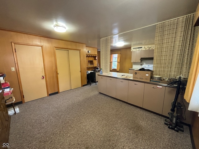 kitchen featuring light carpet and electric stove