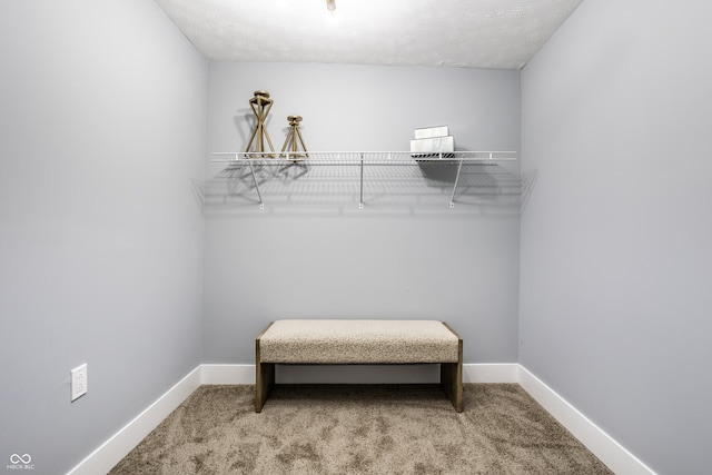 spacious closet with carpet