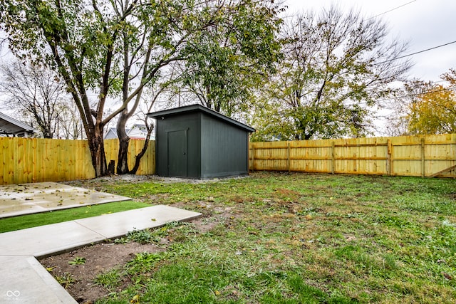 view of yard featuring a patio and a shed