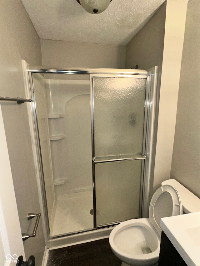 bathroom featuring vanity, a textured ceiling, toilet, and an enclosed shower