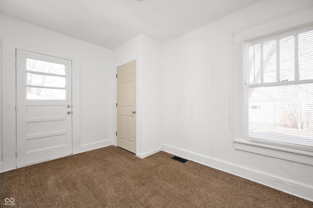 carpeted entryway with a wealth of natural light