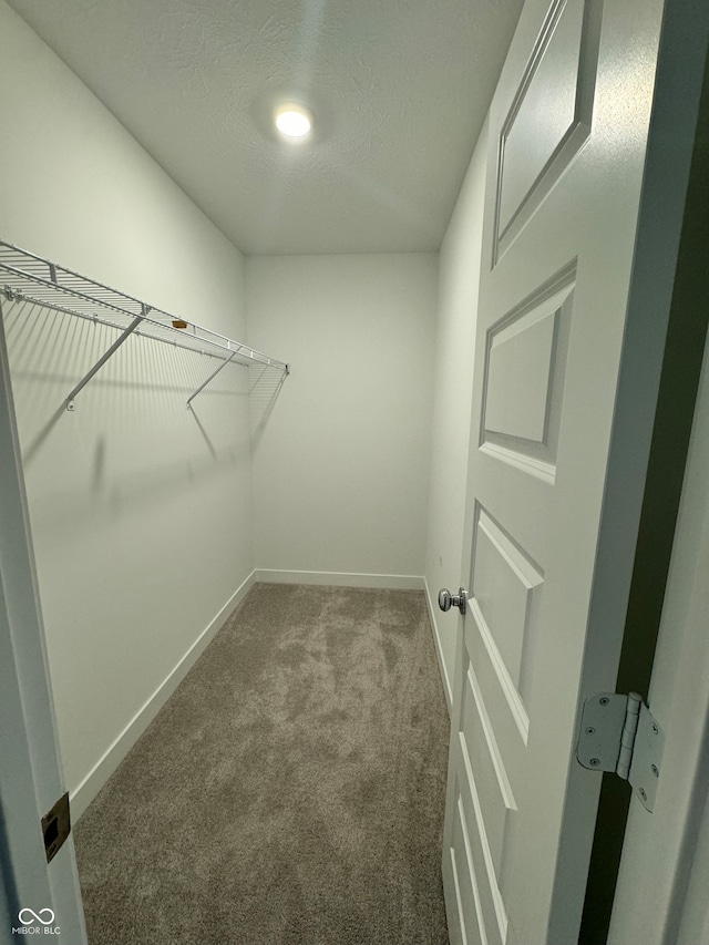 walk in closet featuring dark carpet